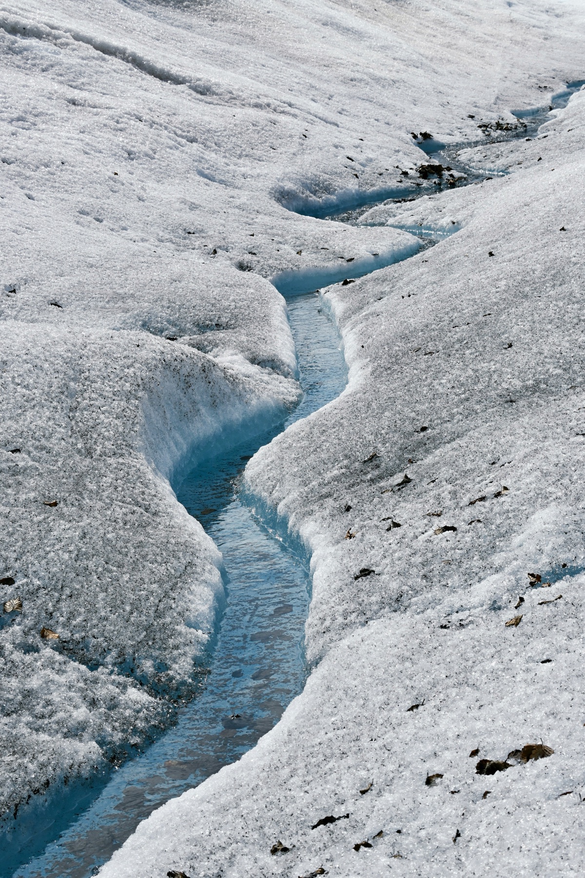 Blue meltwater running across an Alaska glacier