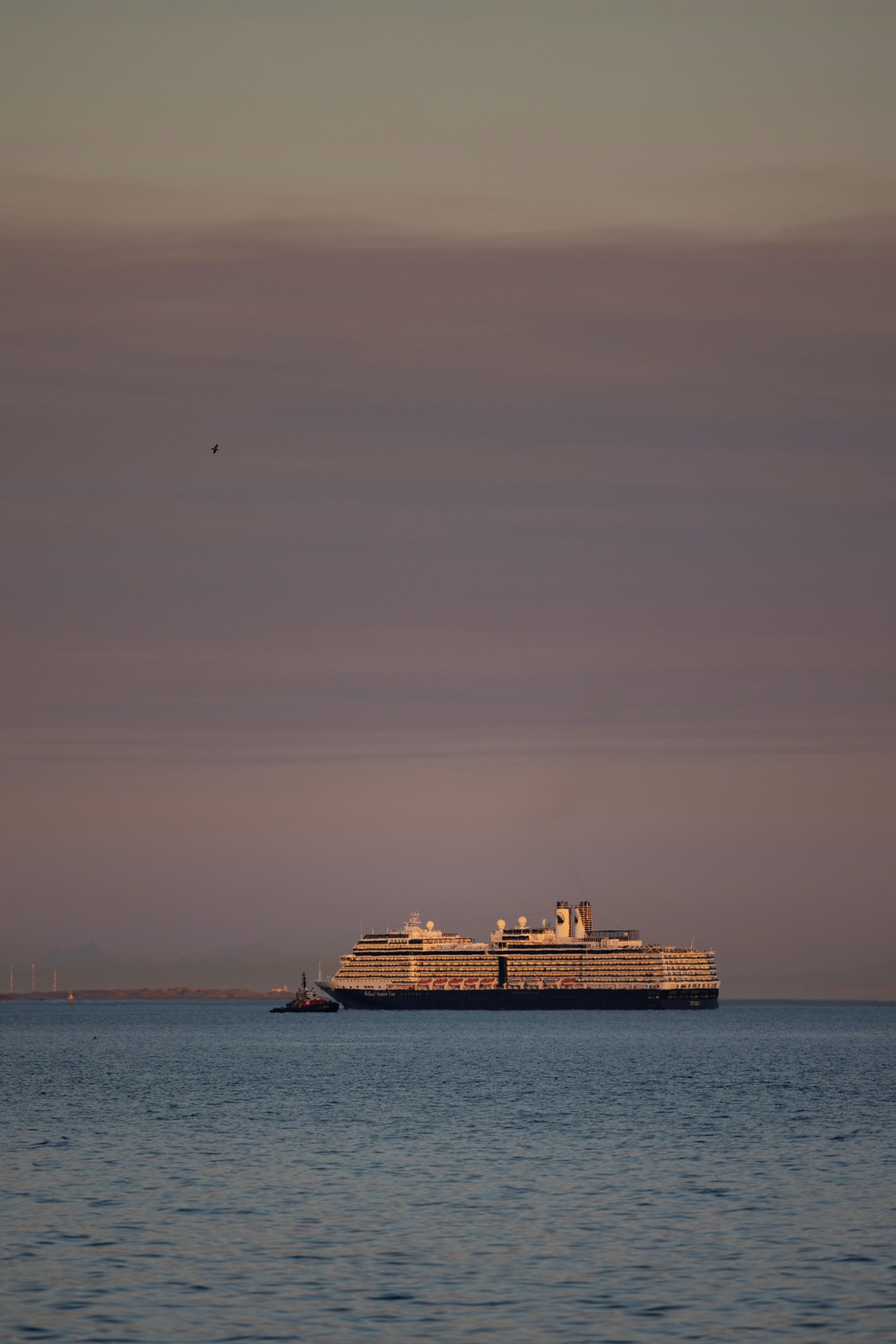 Cruise ship sailing at sunset